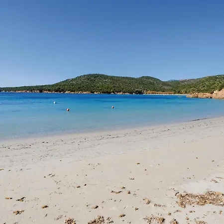 Lägenhet Pet Friendly