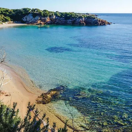 Pet Friendly Lägenhet Pianottoli-Caldarello (Corsica)