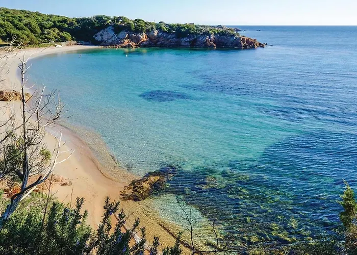 Pet Friendly Daire Pianottoli-Caldarello (Corsica)