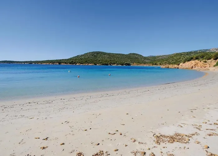 דירה Pet Friendly